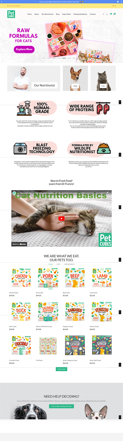 Pet Cubes cms development shopify uiux design website development wesite design wireframing