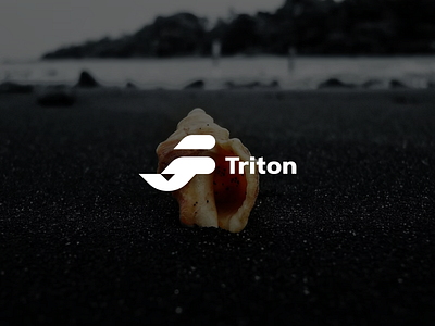 Triton Logo Design, Logo app icon branding creativelogo logo logoart logoawesome logobrand logodaily logodesign logogrid logoinspiration logomaker logomark logopassion logoprocess logosai minimallogo modernlogo professionallogo symbol