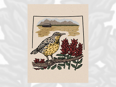 Western Meadowlark birds design drawing flowers illustration indianpaintbrush westernmeadowlark wyoming