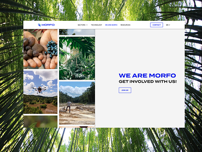 Morfo | Header Animation Gallery 🌱 about us animation design devlopment header ui webdesign webflow webflow animation website