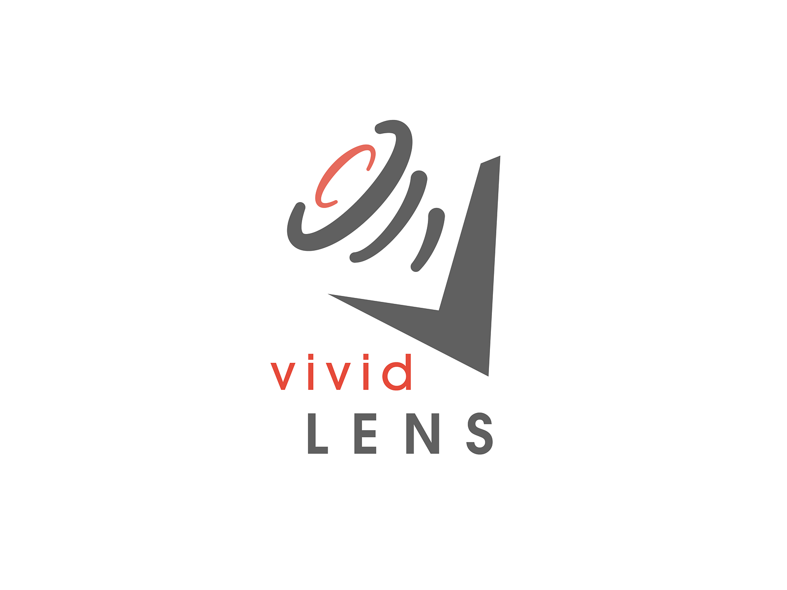 VividLens Logo by Pilli Soso on Dribbble