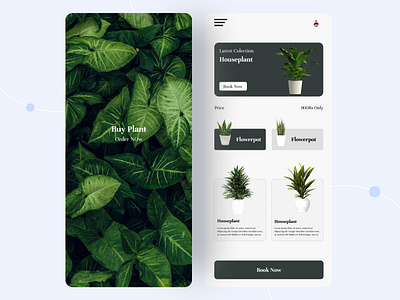Buy Plant Mobile App UI Design ui