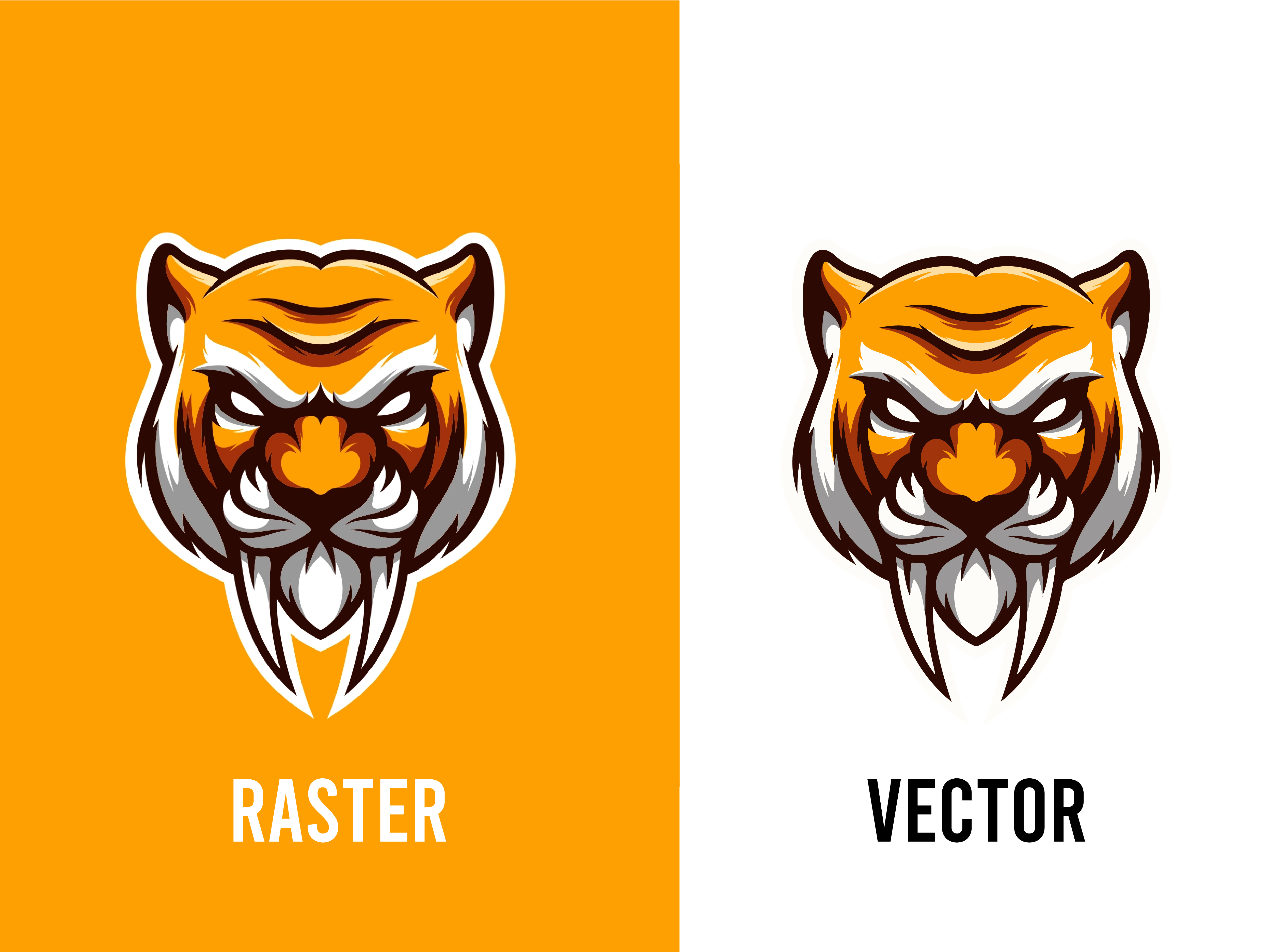 Convert Raster logo to vector logo by Tracing BD on Dribbble