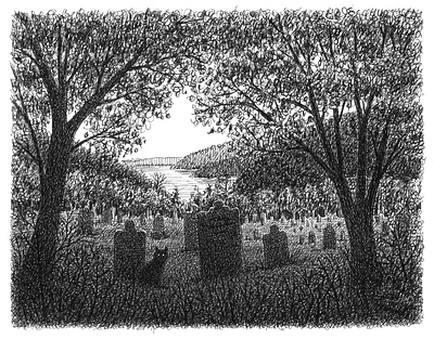 Cemetery Cat art artist artwork cat creepy drawing hand drawn horror illustration ink landscape ominous scary