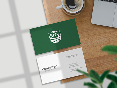 SNV Agro - Logo Design best logo brand guidelines brand icon branding creative logo e commerce gradient logo graphic design illustration logo logo designer logo trend modern logo snv agro logo vect plus web site logo