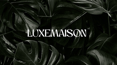 Luxemaison Brand Identity branddesign brandidentity branding clothing design fashion graphic design identity illustration logo logodesign luxemaison typography vector visuial visuialidentity