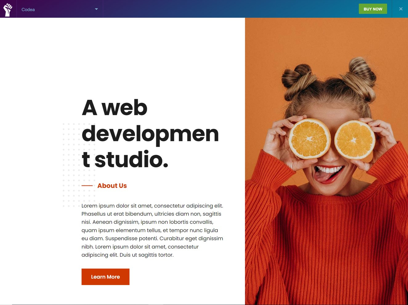 WordPress Website Design Using Elementor Pro branding design dropshipping store elementor expert elementor landing page design elementor pro elementor website email marketing landing page design product landing page design shopify store design website website design wordpress wordpress landing page design
