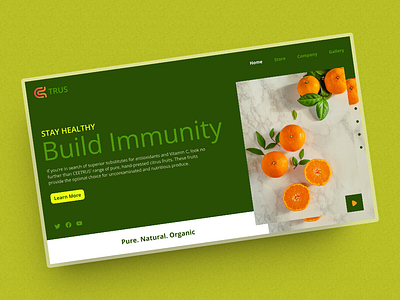 Ctrus Landing Page design product design ui