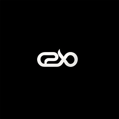 EX Logo : Creative Typography Logo branding graphic design logo typography