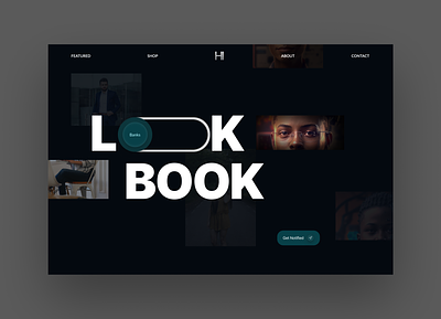 LookBook Hero page design 3d animation design nfts ui web web3