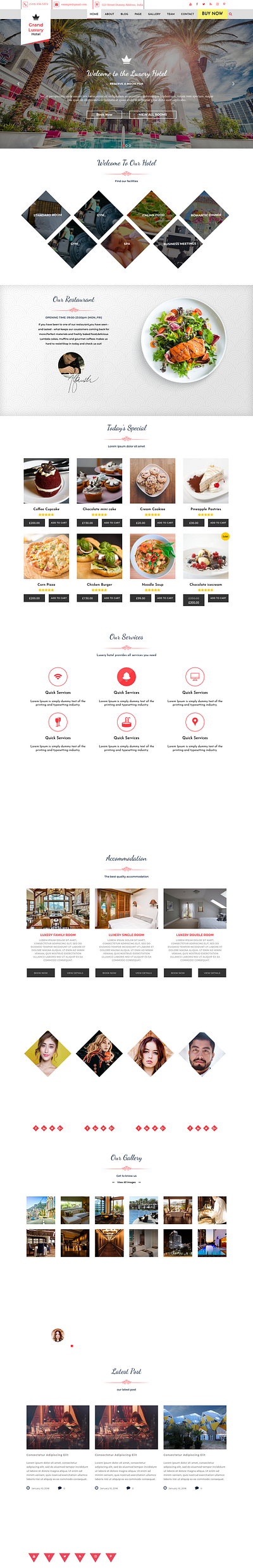 Hotel Website design graphic design ui ux website wordpress