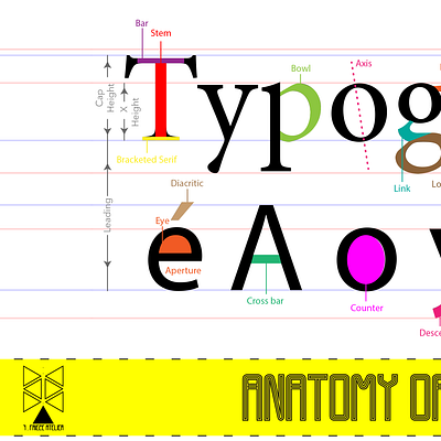 Typography Basics design graphic design illustration