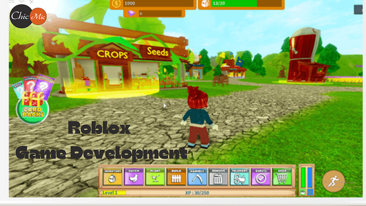 Bring Your Roblox Game Ideas to Life with Specialized Developmen by