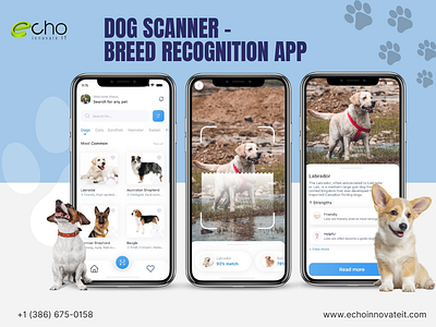 Dog Scanner - Breed Recognition App Development app development development dog scanner app mobile app