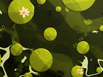 Pond animation adobe after effects animation carps design flat graphic design green illustration motion graphics nature photoshop pond texture
