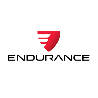 ENDURANCE Logo Design branding logo