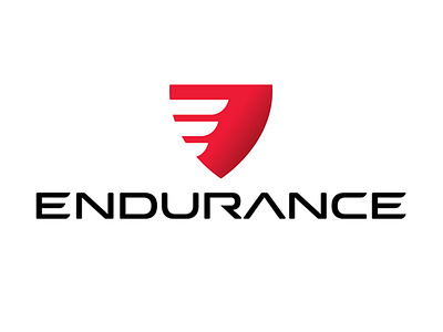 ENDURANCE Logo Design branding logo