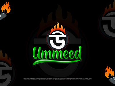 Ummeed Logo Design 3d animation app branding design graphic design illustration logo ui vector