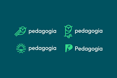 Pedagogia - 4 Logos Presented abstract book book logo brand identity education education logo logo logo design modern owl owl logo