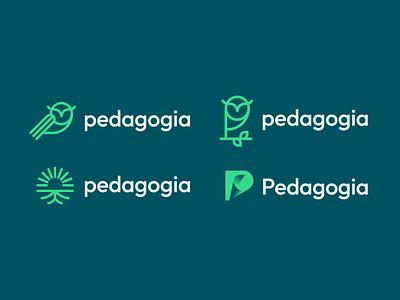 Pedagogia - 4 Logos Presented abstract book book logo brand identity education education logo logo logo design modern owl owl logo
