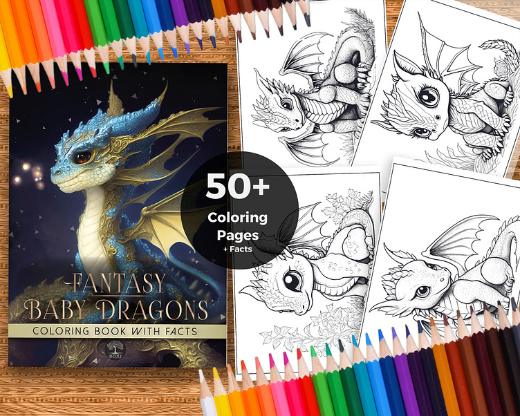 mystical fairies and dragons drawings