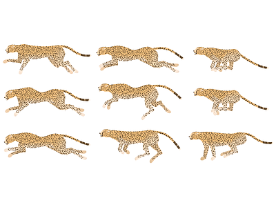Cheetah frames