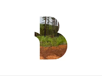 Key visual iconic symbol B'lach Farm branding graphic design logo vietnam