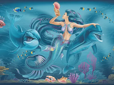 mermaid and dolphins beautiful freelance illustration vector
