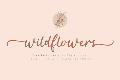 Wildflower Font beautiful beauty cute design display elegant feminine flower font handwritten invitation logo lovely magical rainbow script signature stylish wedding