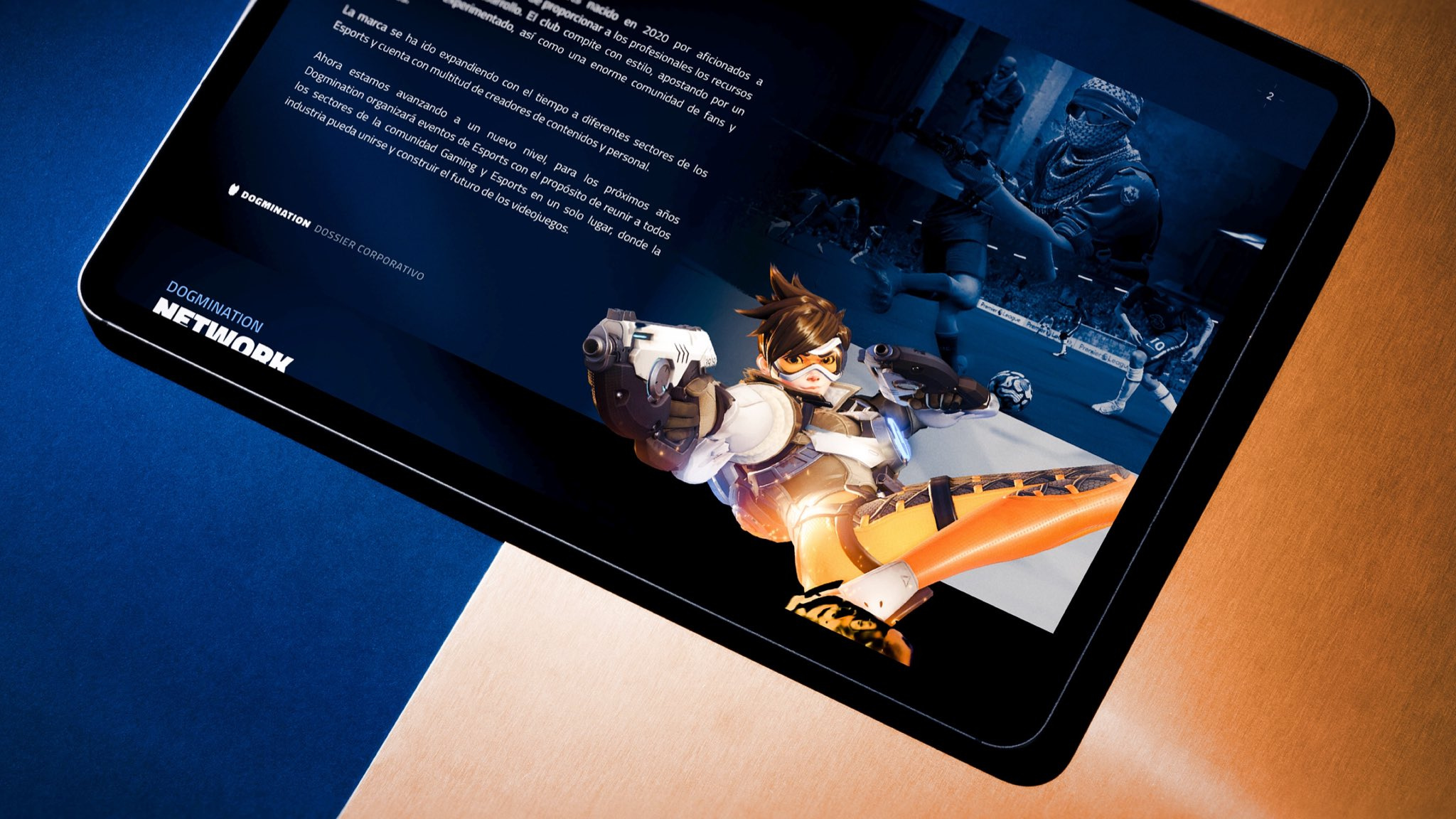 Dogmination Corporate Dossier branding esports presentation print