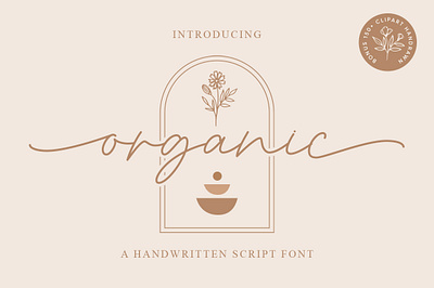 Organic Font design display elegant font illustration logo lovely stylish wedding
