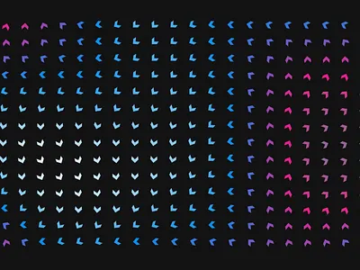 Flow Field design illustration motion graphics vector