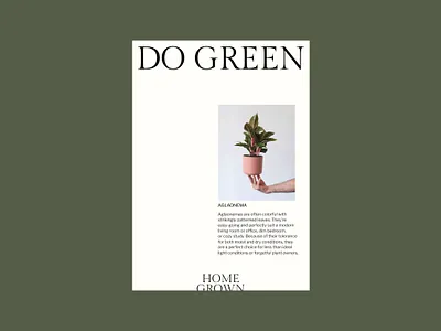 Collateral Design brand identity branddesign branding branding design collateral collateral design corporate identity design graphic design graphic designer identity logo minimal branding modern branding modern logo poster stationery stationery design typography visual identity