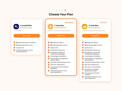 Pricing Plan Page design minimal three tier pricing page pricing page pricing plan pricing plan design pricing plan ui table pricing design table pricing plan ui