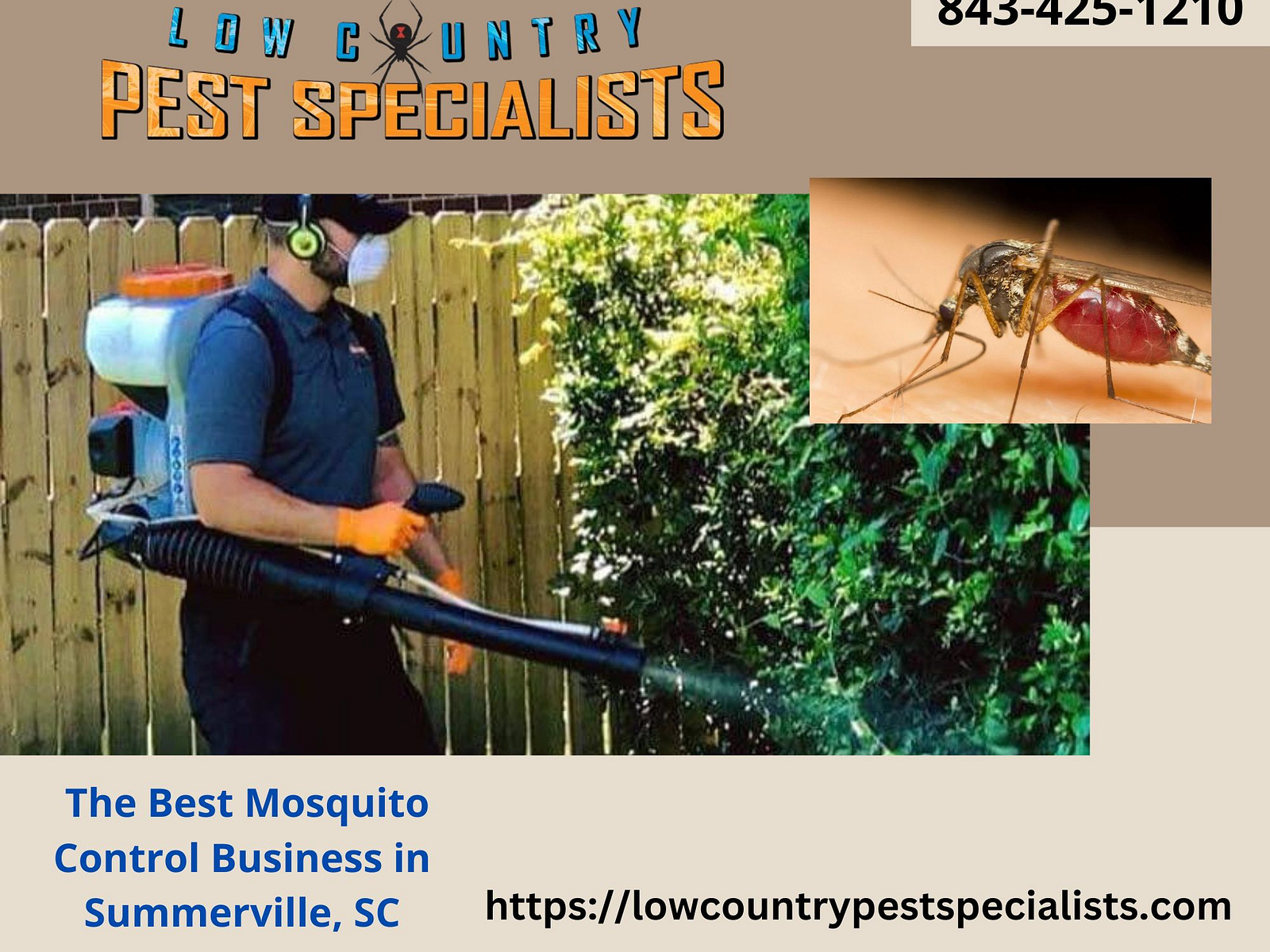 The Best Mosquito Control Business in Summerville, SC by Low Country