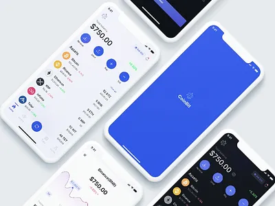 CoinBit Crypto wallet branding design logo nfts ui web3