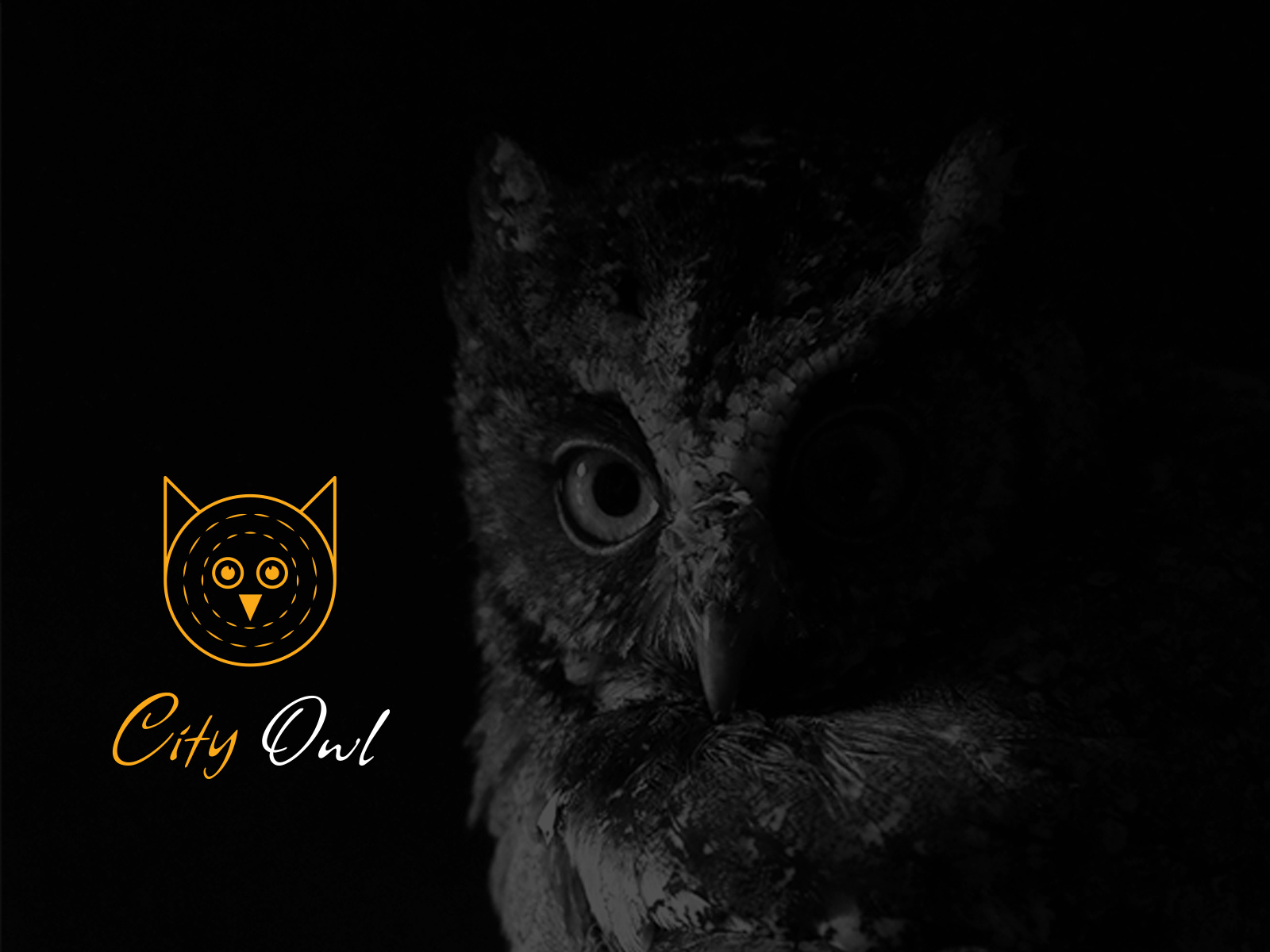 City Owl by Mostafizur Rahman on Dribbble