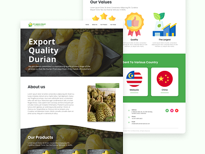 Durian Landing Page application design designer durian graphic design landing apge product ui website