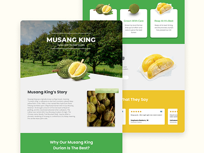 Durian Landing Page animation application branding design designer durian graphic design illustration landing page logo ui vector website