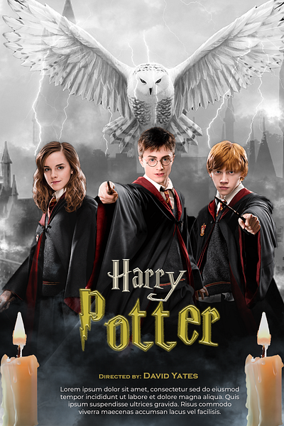 Harry Potter Movie Poster banner branding graphic design movie poster