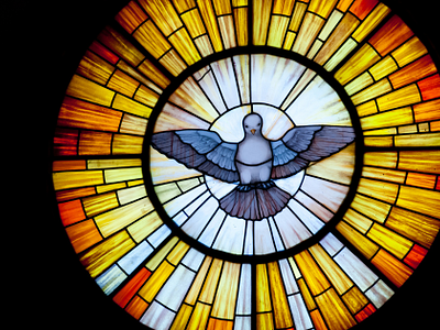 Why The Pentecostals Believe In The Baptism Of The Holy Spirit by Glenn ...