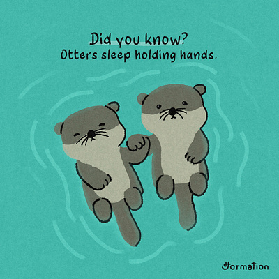 Otters sleep holding hands animal did you know digital art digital illustration fact of the day fun fact illustration jormation otter otters random fact