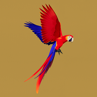 Polly illustration jungle parrot procreate