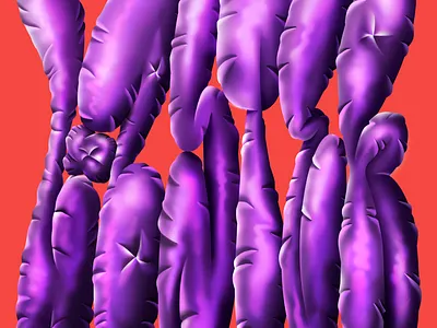 Lobster Studio animation handmade illustration lettering typo typography