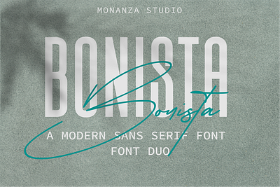 Bonista a Modern Sans serif packaging design