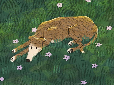 Greyhound in the Grass animalart animalillustration digitalillustration dogart illustration procreate