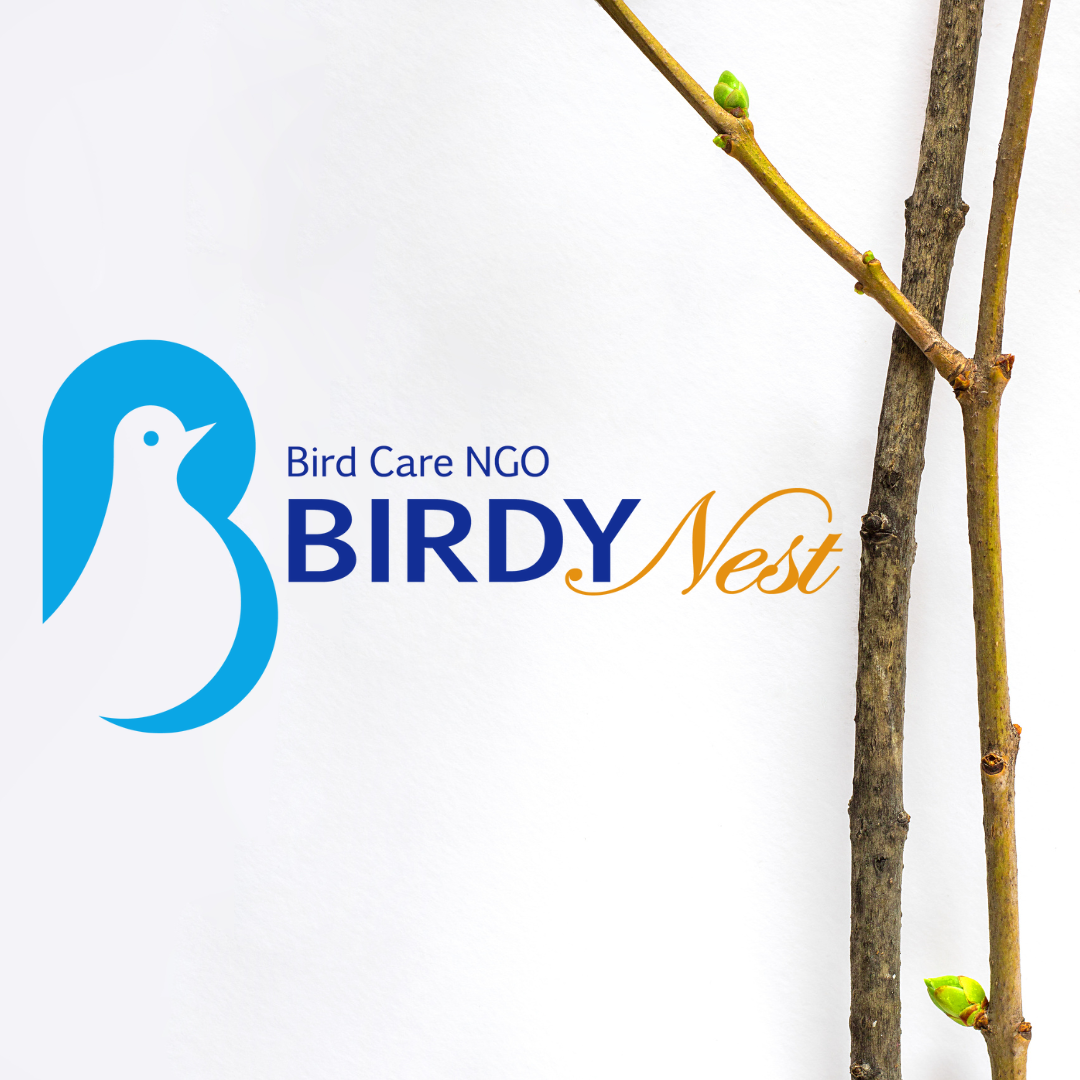 Logo design branding design graphic design illustration logo vector