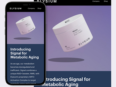 Email Design for Elysium design figma graphic design