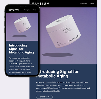 Email Design for Elysium design figma graphic design