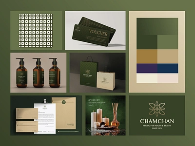 🌿Chamchan / Branding & Packaging branding design graphic design illustration logo package design